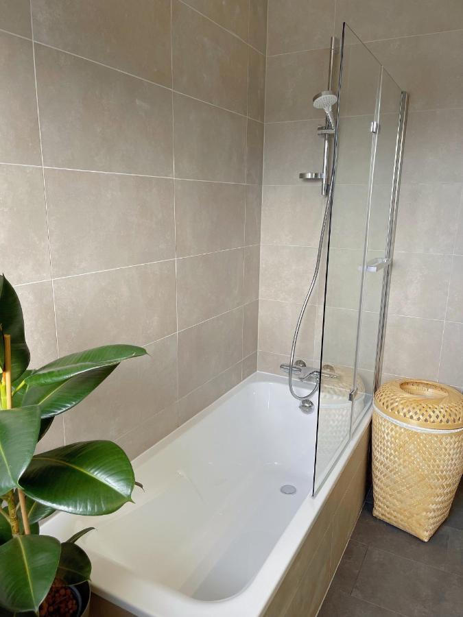 Appartement Tres Cosy A 5 Min Aeroport Geneve Ferney-Voltaire Exterior foto