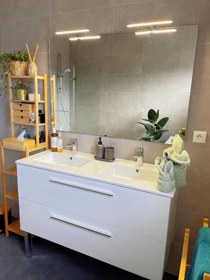 Appartement Tres Cosy A 5 Min Aeroport Geneve Ferney-Voltaire Exterior foto