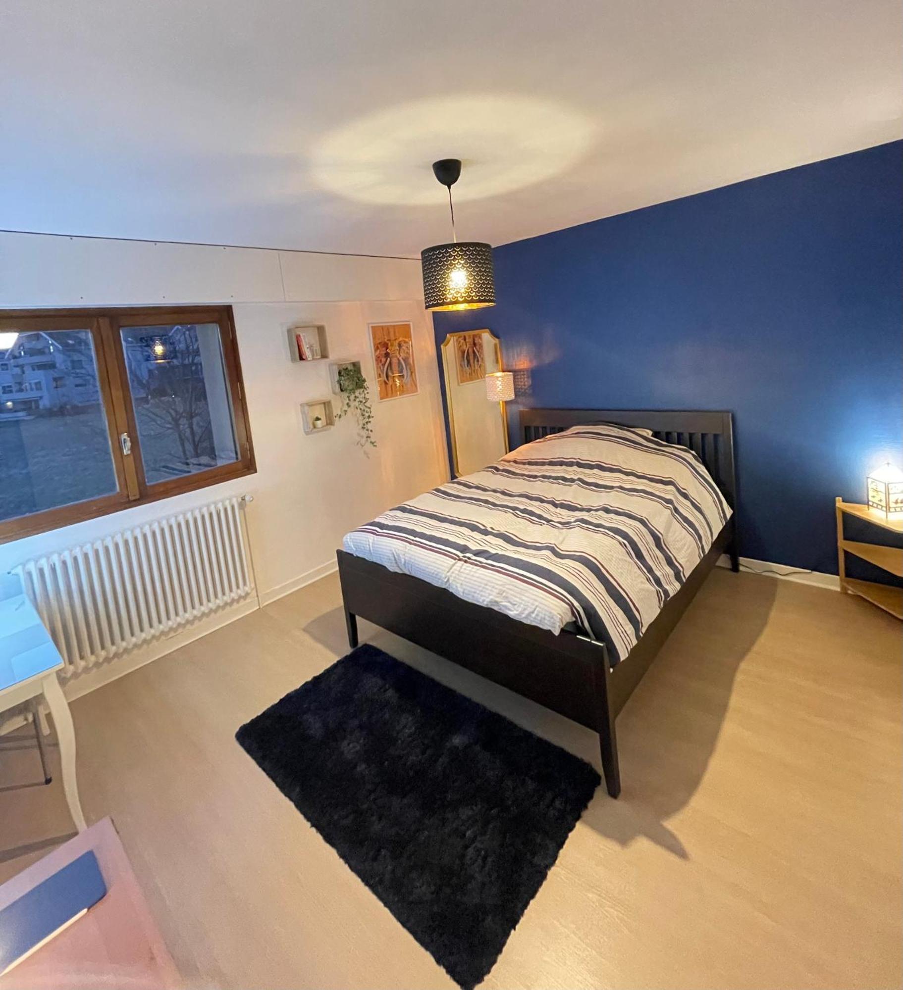Appartement Tres Cosy A 5 Min Aeroport Geneve Ferney-Voltaire Exterior foto