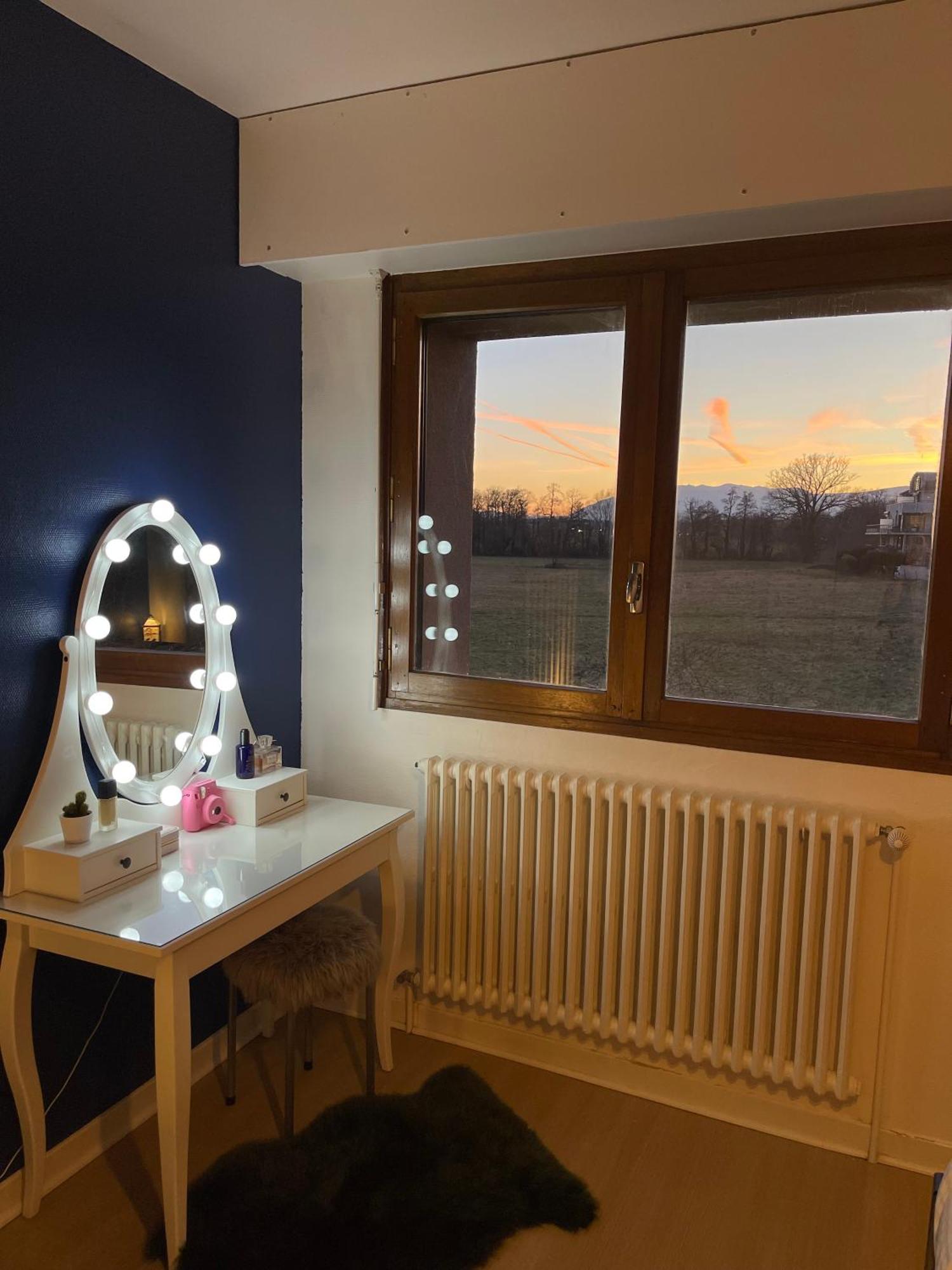 Appartement Tres Cosy A 5 Min Aeroport Geneve Ferney-Voltaire Exterior foto