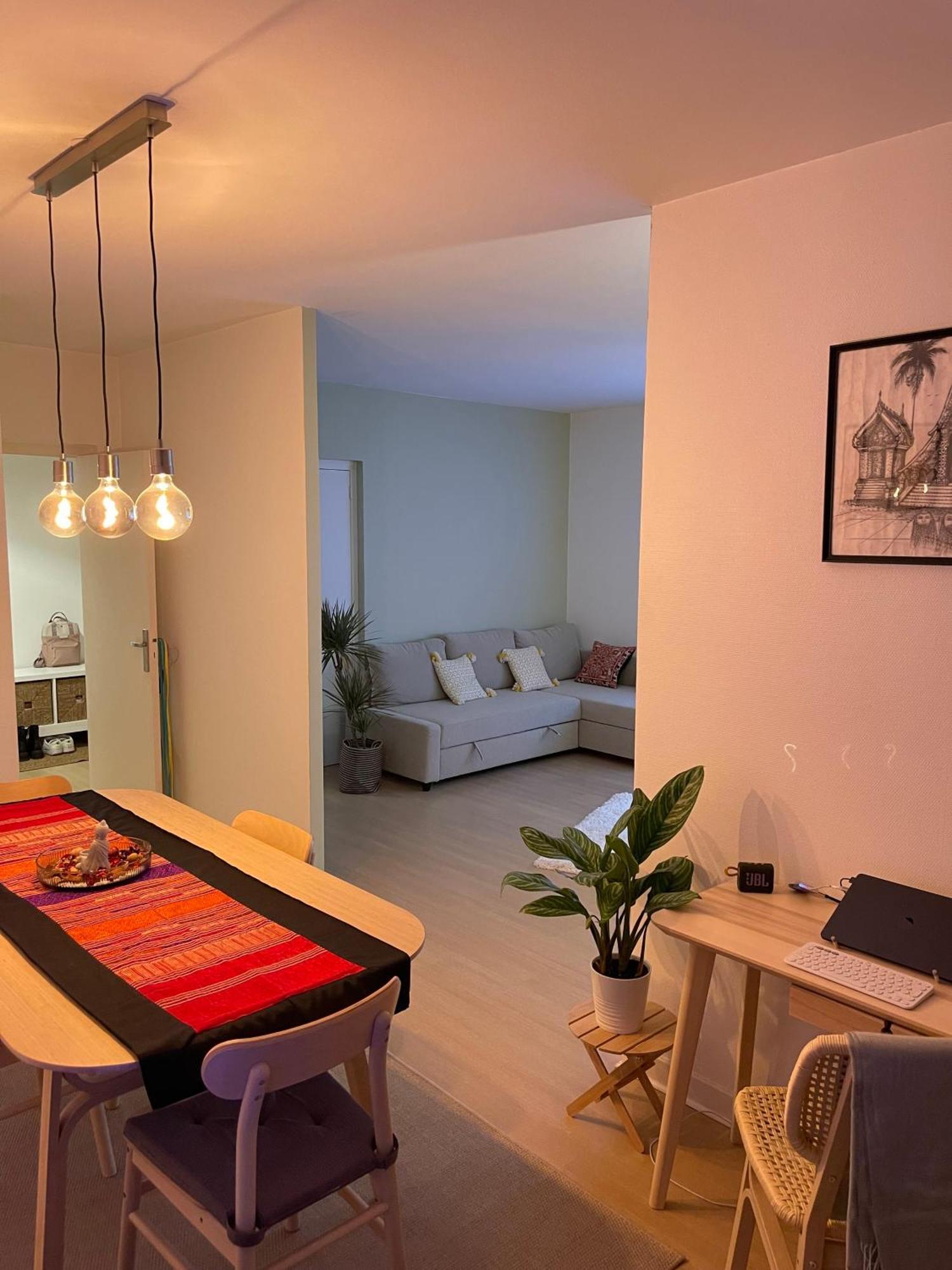 Appartement Tres Cosy A 5 Min Aeroport Geneve Ferney-Voltaire Exterior foto