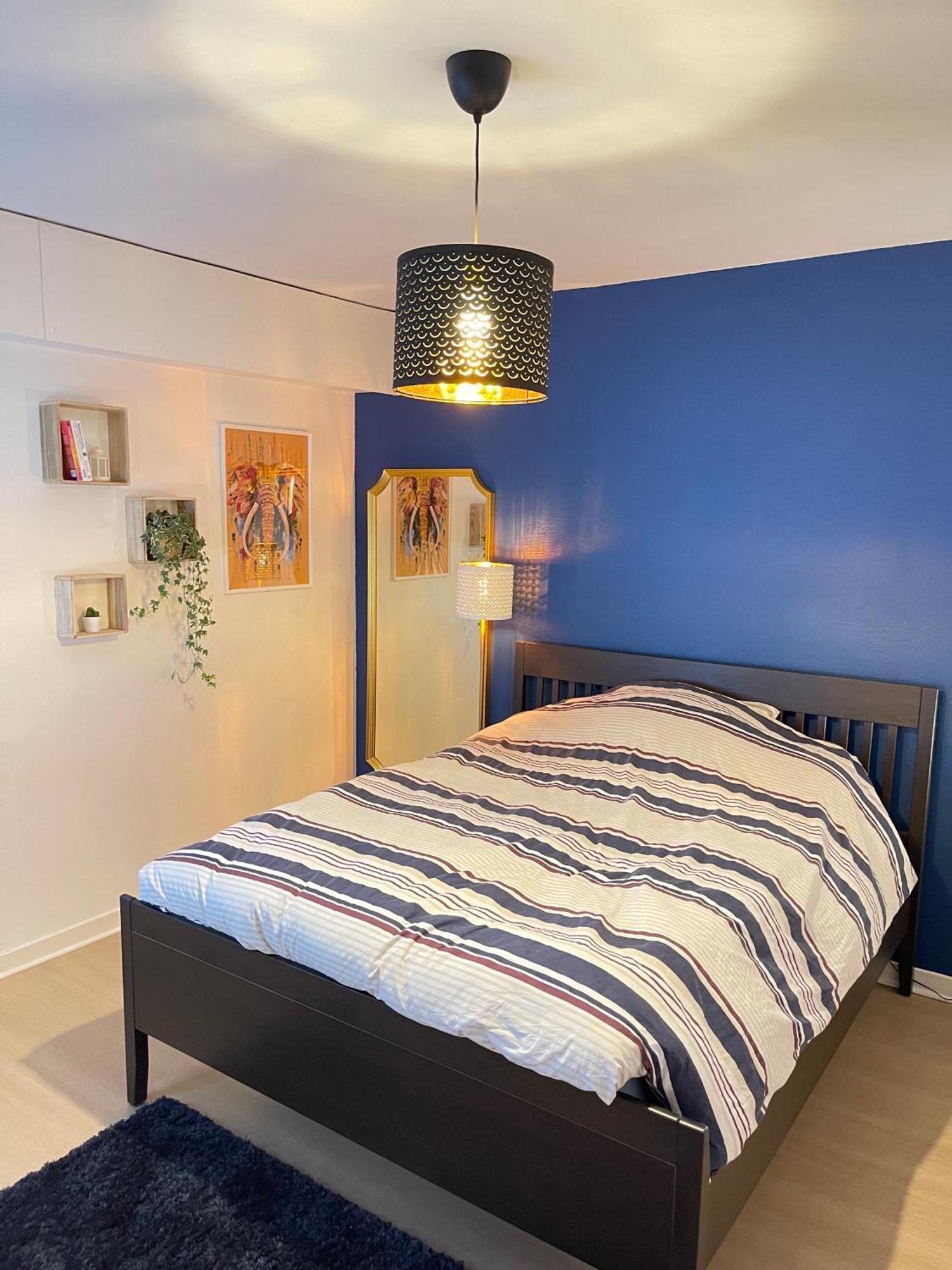 Appartement Tres Cosy A 5 Min Aeroport Geneve Ferney-Voltaire Exterior foto