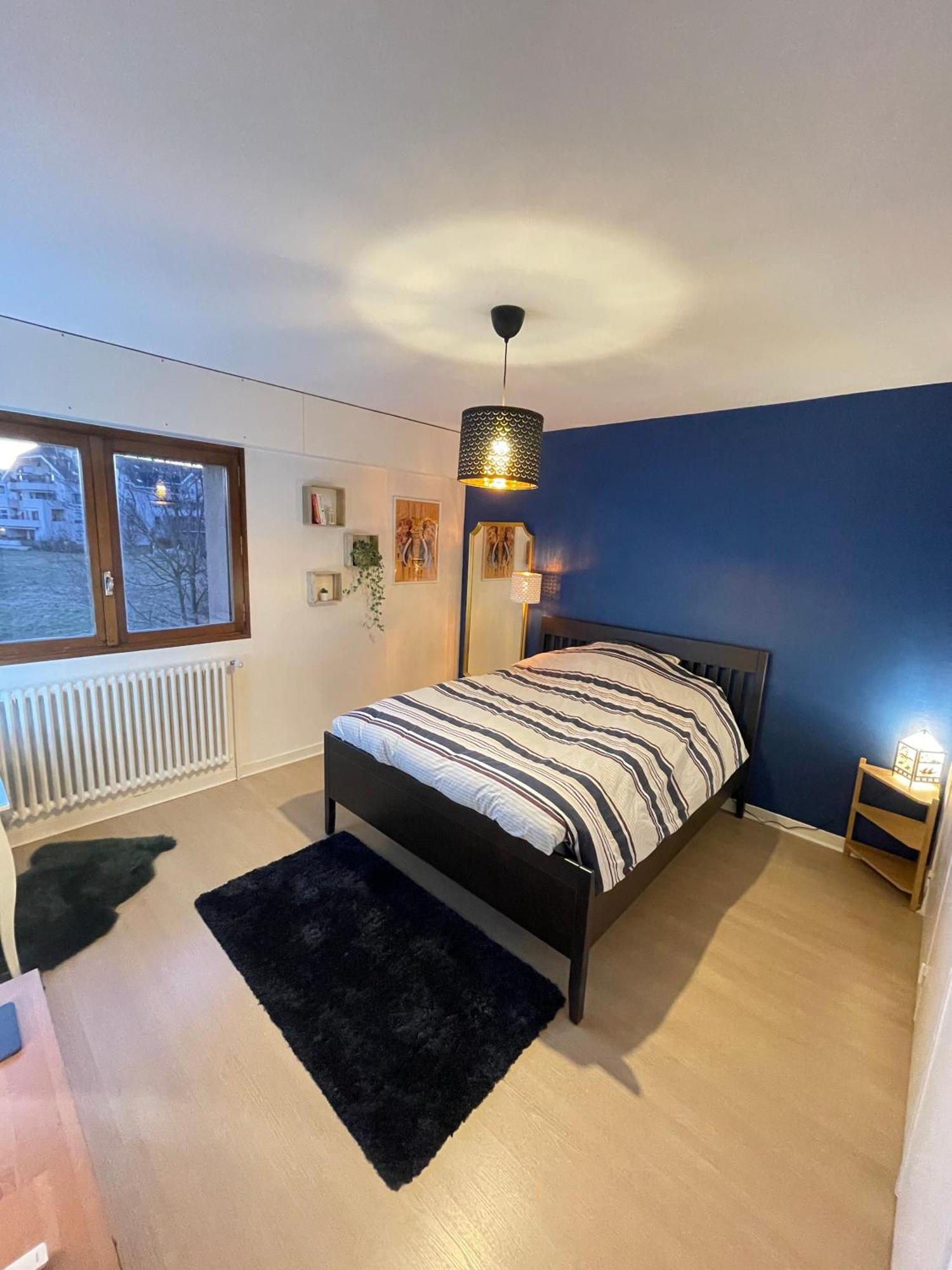 Appartement Tres Cosy A 5 Min Aeroport Geneve Ferney-Voltaire Exterior foto